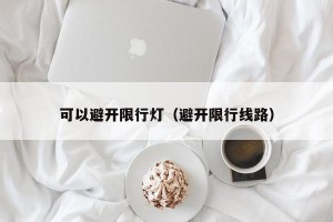 可以避开限行灯（避开限行线路）