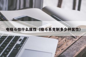 电格斗怕什么属性（格斗系克制多少种属性）