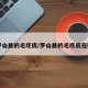 【罗山县的毛坯房/罗山县的毛坯房在哪里】