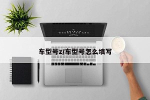 车型号z/车型号怎么填写