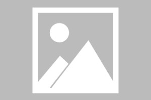 【31省份新增37例本土确诊病例/31省份新增33例确诊其中本土19例】